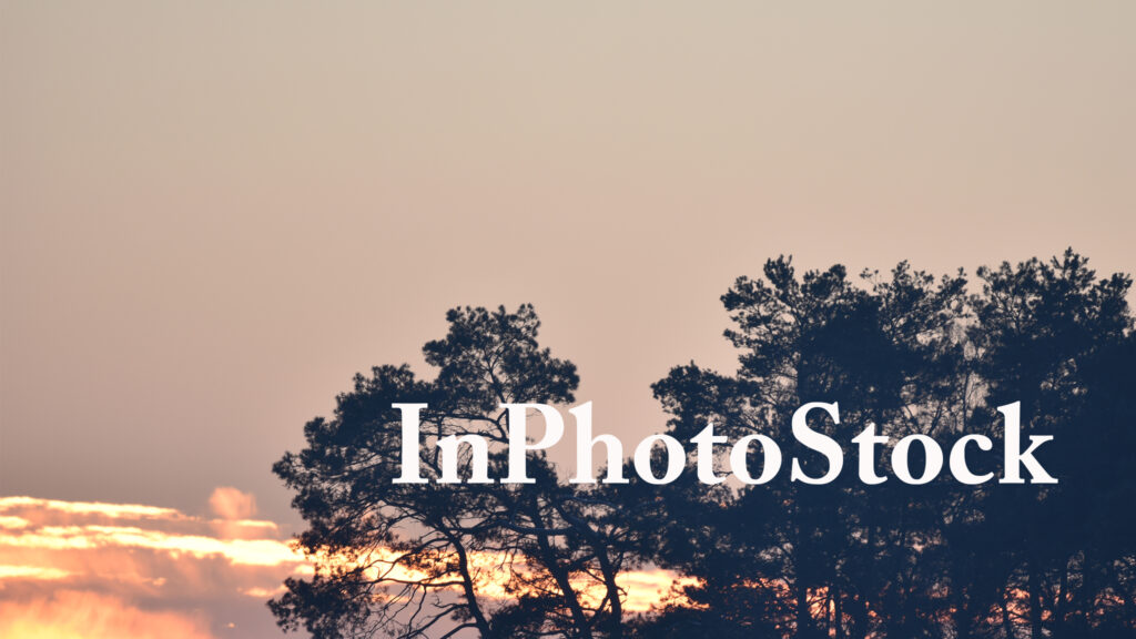 Microstock categories - InPhotoStock