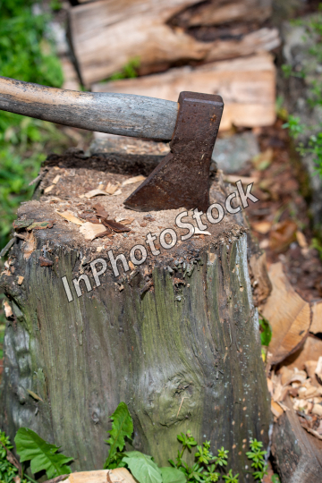 Photo of an ax stuck in a stump. Wood chipper with an ax.