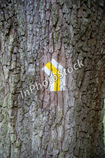 Sign on the tree. Trail marking.
